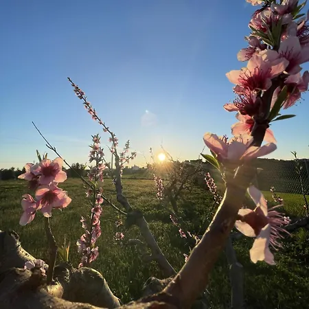 Farm stay Agriturismo Le Grange *