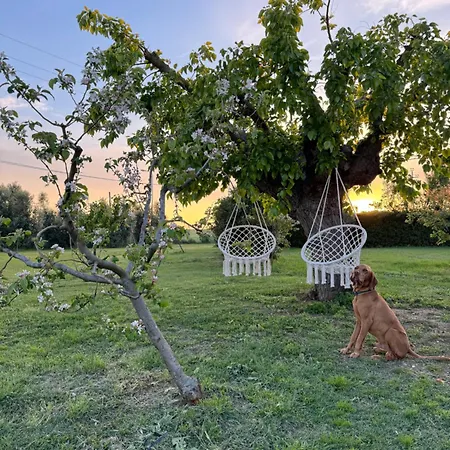 Agriturismo Le Grange Farm stay *