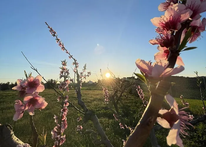 Farm stay Agriturismo Le Grange *