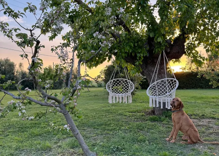 Le Grange Alloggio per agriturismo *